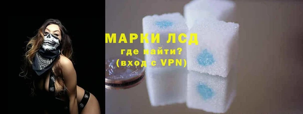 СК Арсеньев