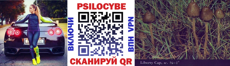 Галлюциногенные грибы мицелий  Моздок 